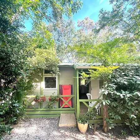 Camping La Cle Des Champs Calvi  Exterior photo